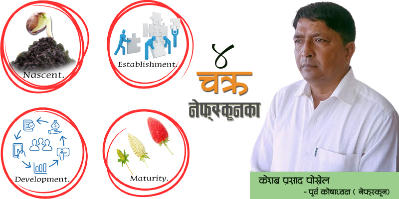 नेफ्स्कून हिजो, आज र भोली